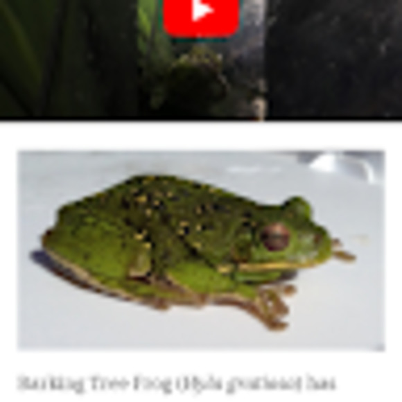 Meet your Posher, D - Picture 1 of 1